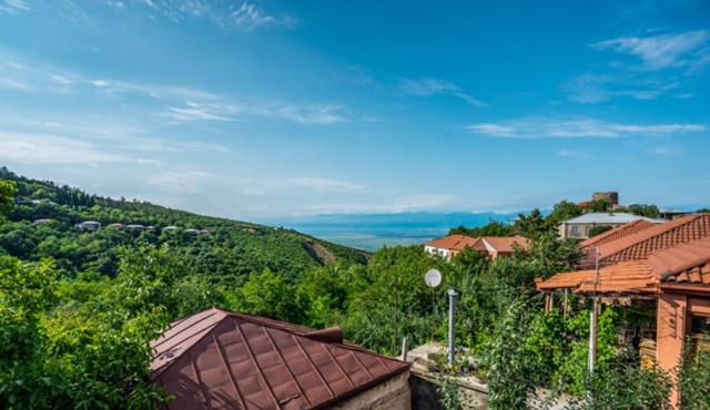 Dzveli Ubani Hotel Sighnaghi Exterior photo