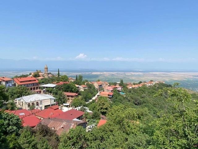 Dzveli Ubani Hotel Sighnaghi Exterior photo